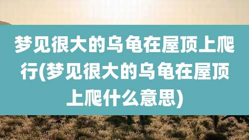梦见很大的乌龟在屋顶上爬行(梦见很大的乌龟在屋顶上爬什么意思)