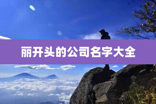 丽开头的公司名字大全