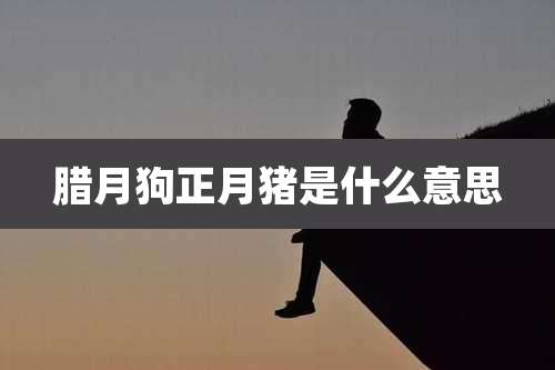 腊月狗正月猪是什么意思