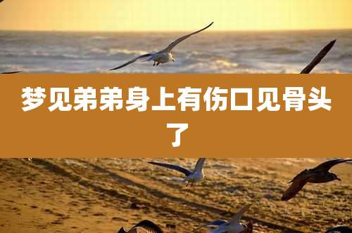 梦见弟弟身上有伤口见骨头了