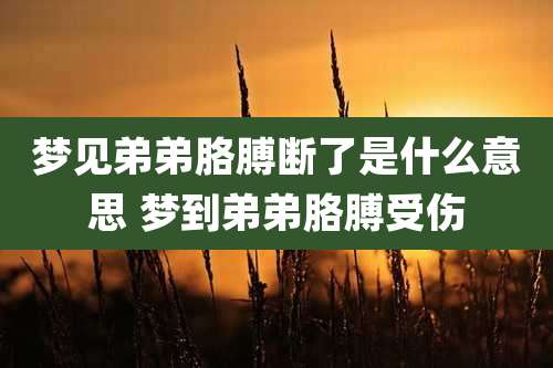 梦见弟弟胳膊断了是什么意思 梦到弟弟胳膊受伤