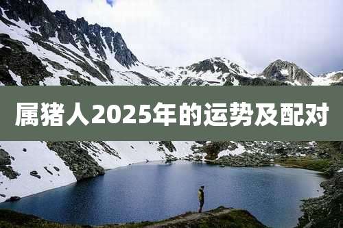 属猪人2025年的运势及配对