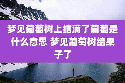 梦见葡萄树上结满了葡萄是什么意思 梦见葡萄树结果子了