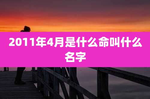 2011年4月是什么命叫什么名字