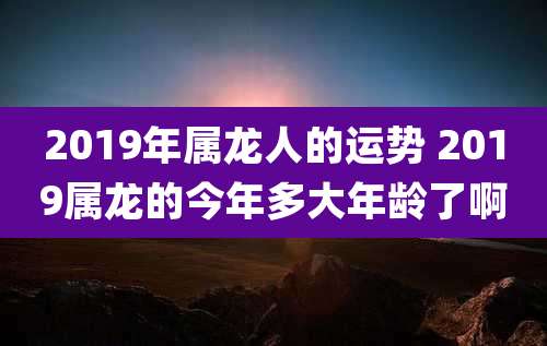 2019年属龙人的运势 2019属龙的今年多大年龄了啊