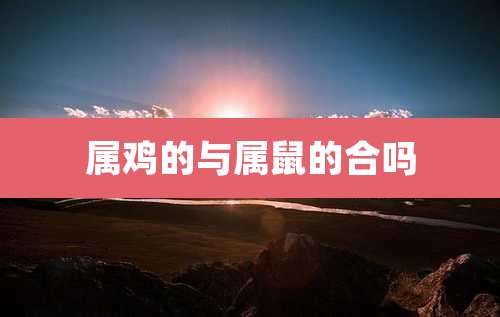 属鸡的与属鼠的合吗