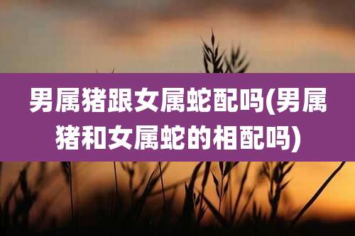 男属猪跟女属蛇配吗(男属猪和女属蛇的相配吗)