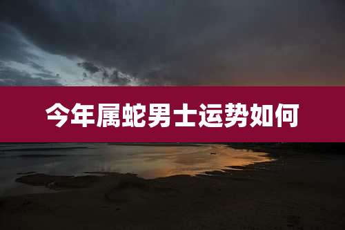 今年属蛇男士运势如何