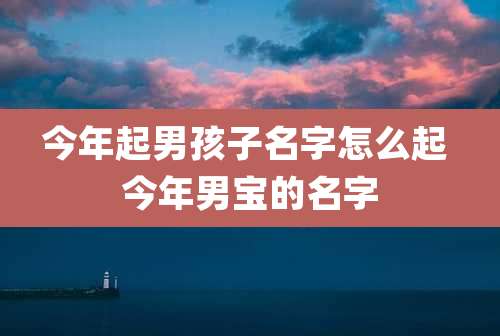今年起男孩子名字怎么起 今年男宝的名字