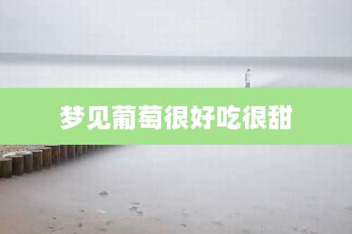 梦见葡萄很好吃很甜