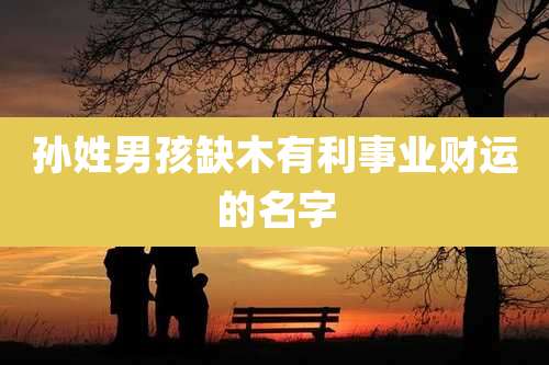 孙姓男孩缺木有利事业财运的名字