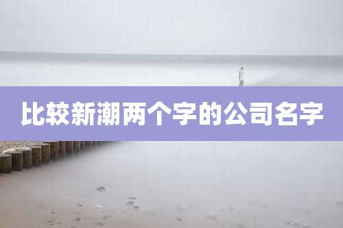 比较新潮两个字的公司名字