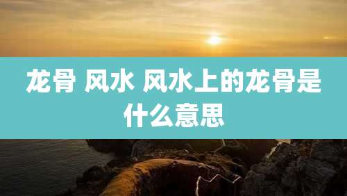 龙骨 风水 风水上的龙骨是什么意思