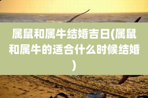 属鼠和属牛结婚吉日(属鼠和属牛的适合什么时候结婚)