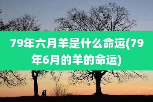79年六月羊是什么命运(79年6月的羊的命运)