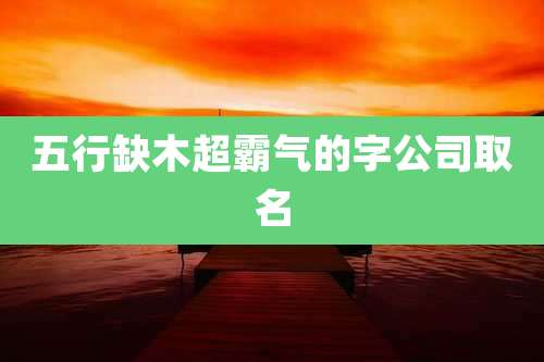 五行缺木超霸气的字公司取名
