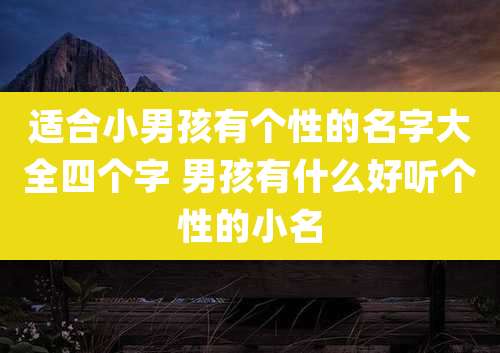 适合小男孩有个性的名字大全四个字 男孩有什么好听个性的小名
