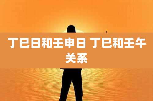 丁巳日和壬申日 丁巳和壬午关系