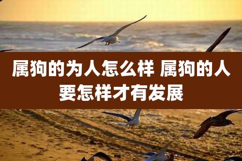 属狗的为人怎么样 属狗的人要怎样才有发展