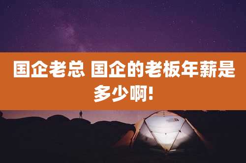 国企老总 国企的老板年薪是多少啊!