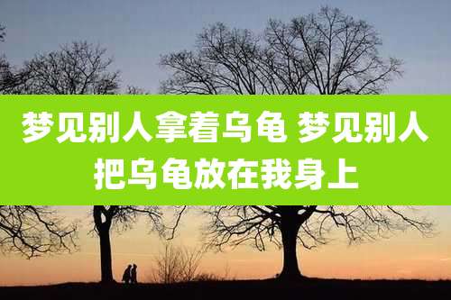 梦见别人拿着乌龟 梦见别人把乌龟放在我身上