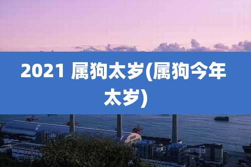 2021 属狗太岁(属狗今年 太岁)