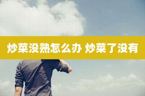 炒菜没熟怎么办 炒菜了没有