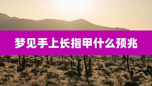 梦见手上长指甲什么预兆