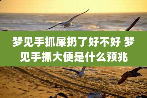 梦见手抓屎扔了好不好 梦见手抓大便是什么预兆