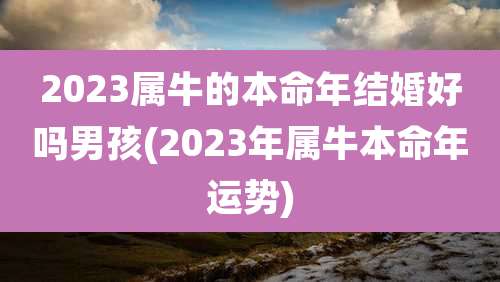 2023属牛的本命年结婚好吗男孩(2023年属牛本命年运势)