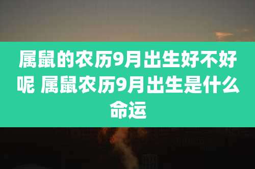 属鼠的农历9月出生好不好呢 属鼠农历9月出生是什么命运