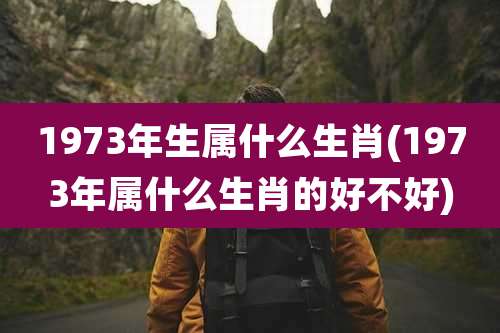 1973年生属什么生肖(1973年属什么生肖的好不好)