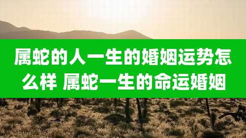 属蛇的人一生的婚姻运势怎么样 属蛇一生的命运婚姻