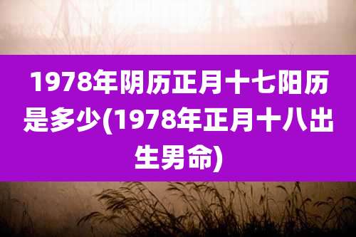 1978年阴历正月十七阳历是多少(1978年正月十八出生男命)