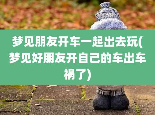 梦见朋友开车一起出去玩(梦见好朋友开自己的车出车祸了)