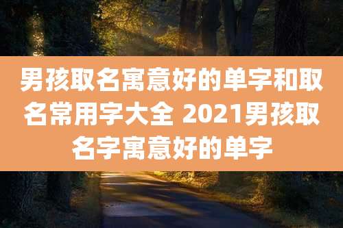 男孩取名寓意好的单字和取名常用字大全 2021男孩取名字寓意好的单字