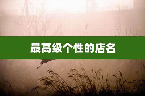 最高级个性的店名