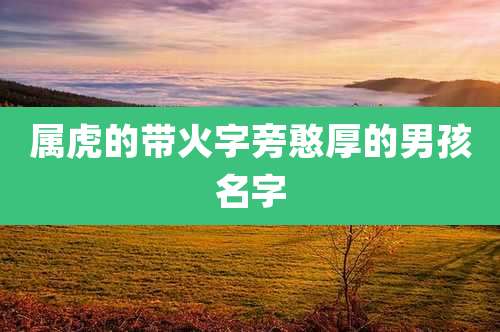 属虎的带火字旁憨厚的男孩名字