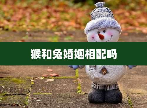 猴和兔婚姻相配吗