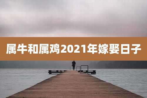 属牛和属鸡2021年嫁娶日子