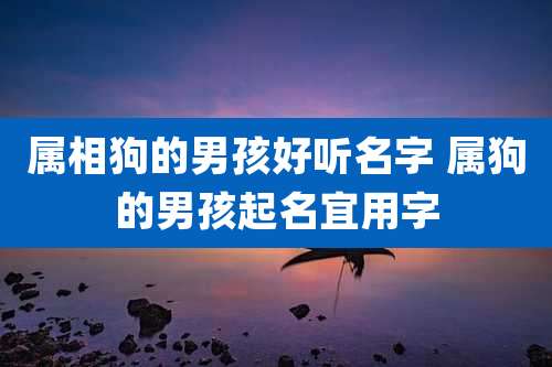 属相狗的男孩好听名字 属狗的男孩起名宜用字