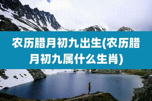 农历腊月初九出生(农历腊月初九属什么生肖)
