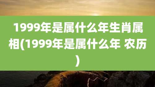 1999年是属什么年生肖属相(1999年是属什么年 农历)
