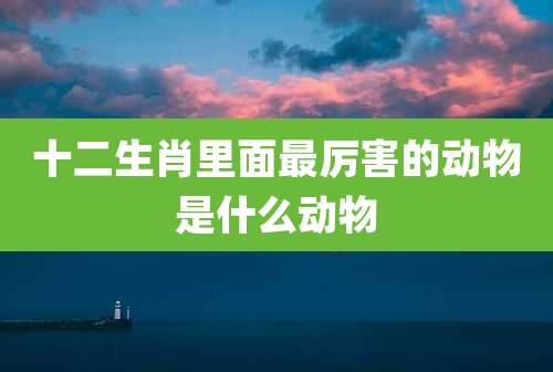 十二生肖里面最厉害的动物是什么动物