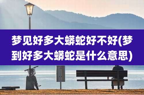 梦见好多大蟒蛇好不好(梦到好多大蟒蛇是什么意思)