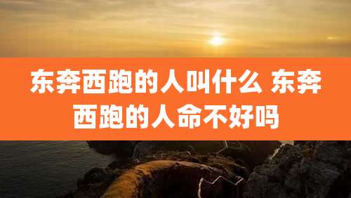 东奔西跑的人叫什么 东奔西跑的人命不好吗