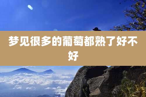 梦见很多的葡萄都熟了好不好