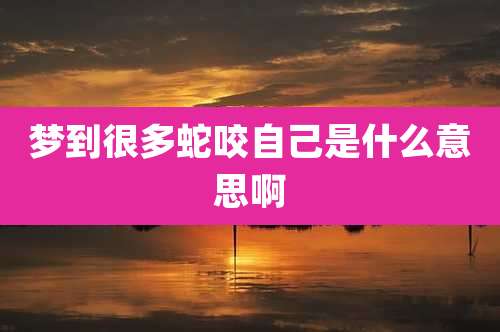 梦到很多蛇咬自己是什么意思啊