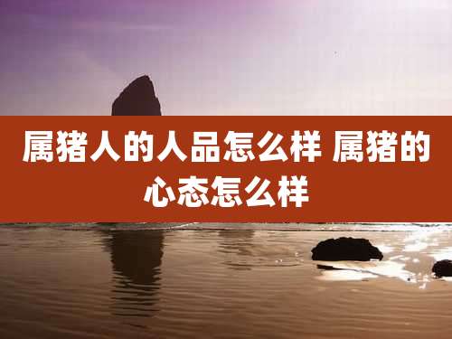 属猪人的人品怎么样 属猪的心态怎么样