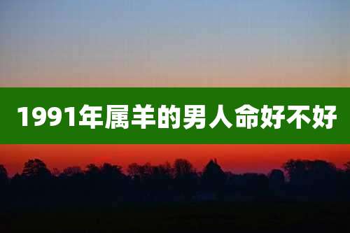 1991年属羊的男人命好不好